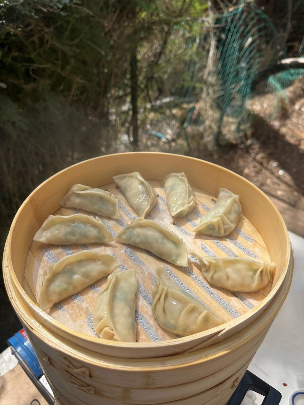 דמפלינגס בסלסלת אידוי